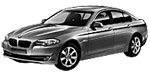 BMW F10 C1306 Fault Code